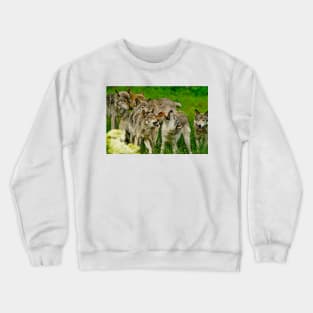 Timber Wolves Crewneck Sweatshirt